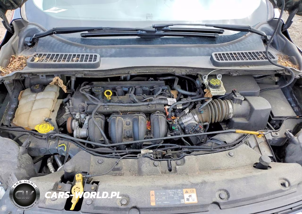 2015 Ford Escape Se VIN:1FMCU0G72FUA75512 - 12