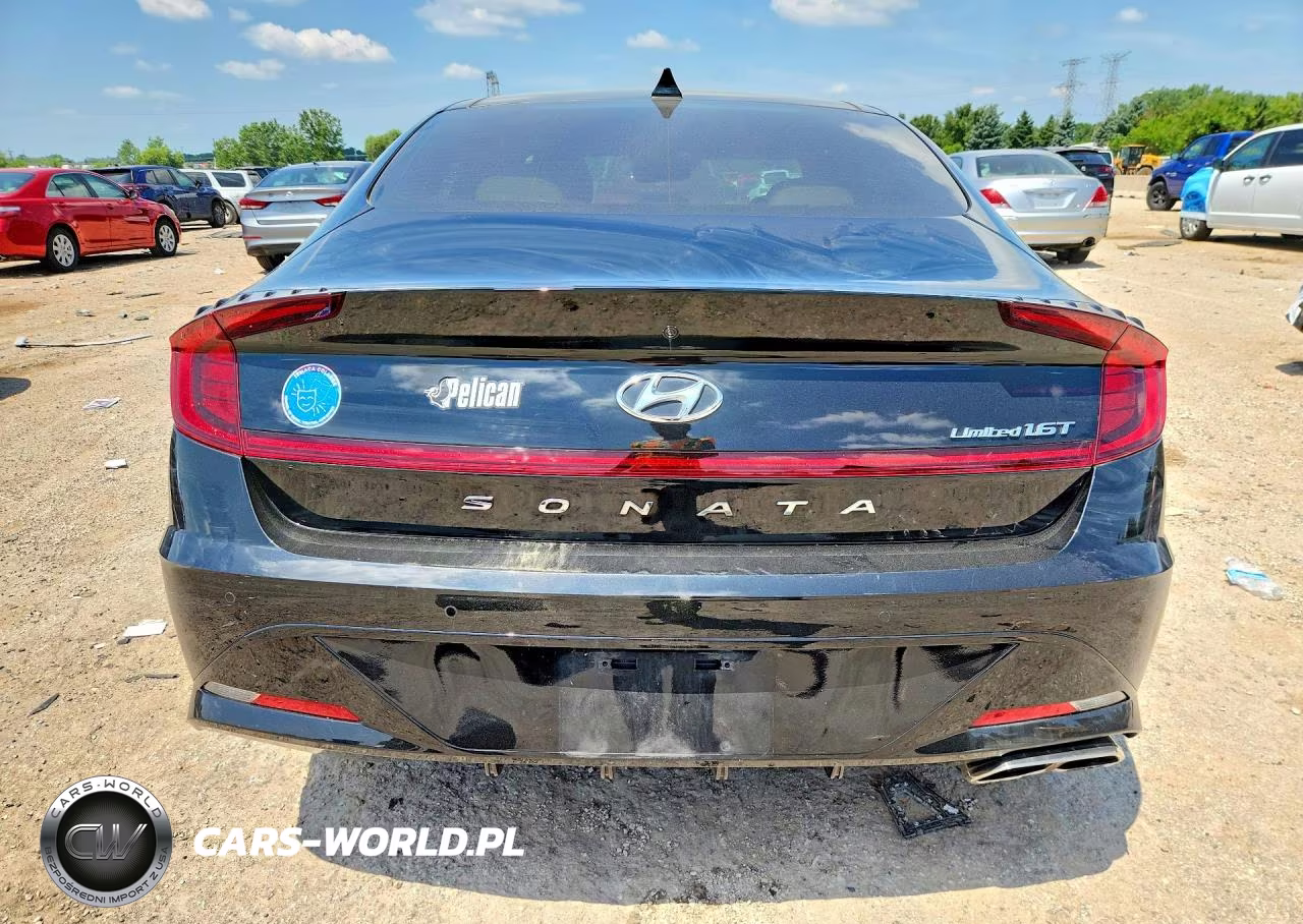 2020 Hyundai Sonata Limited VIN:5NPEH4J26LH022419 - 6