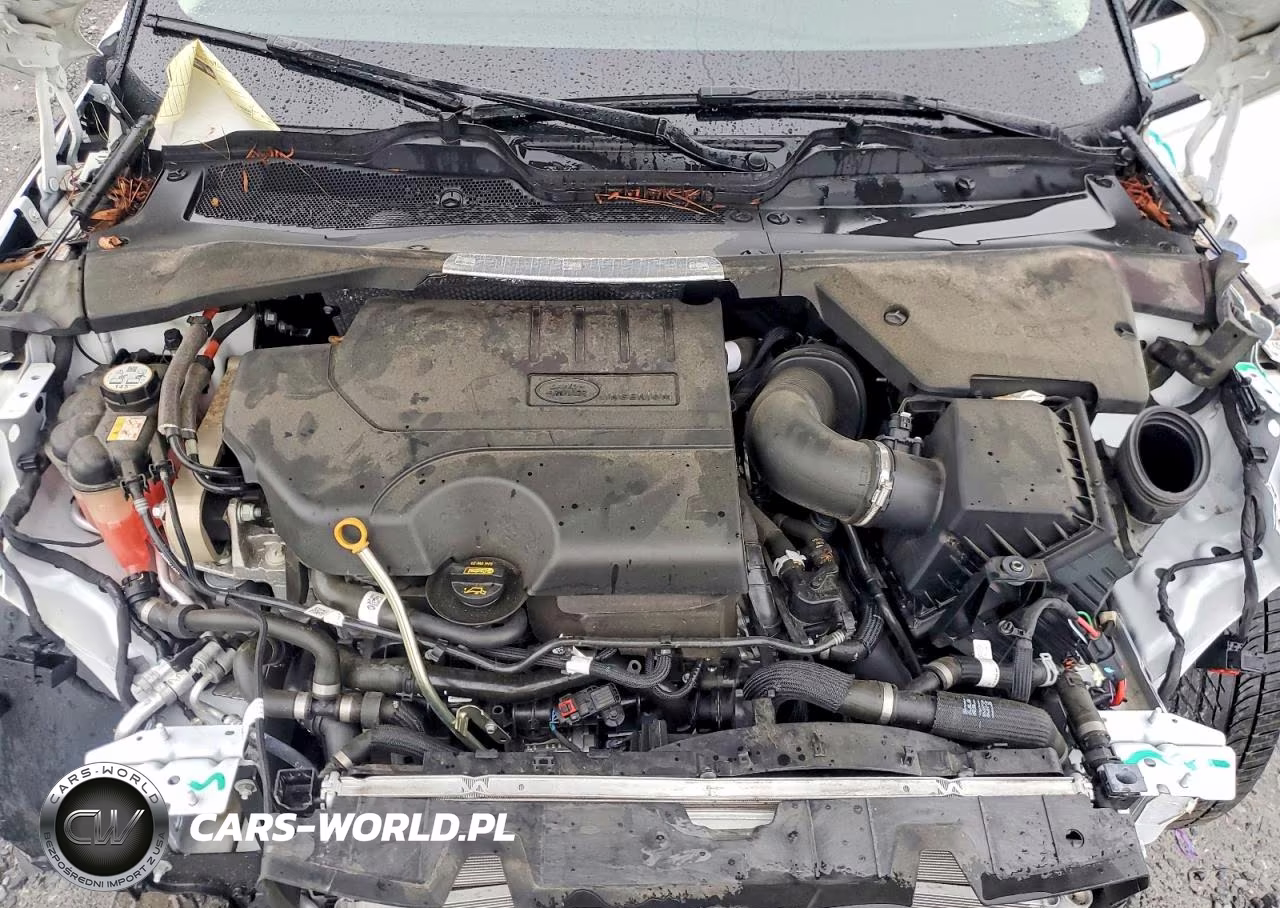 2024 Land Rover Range Rover Evoque S VIN:SALZJ2FX8RH237010 - 12