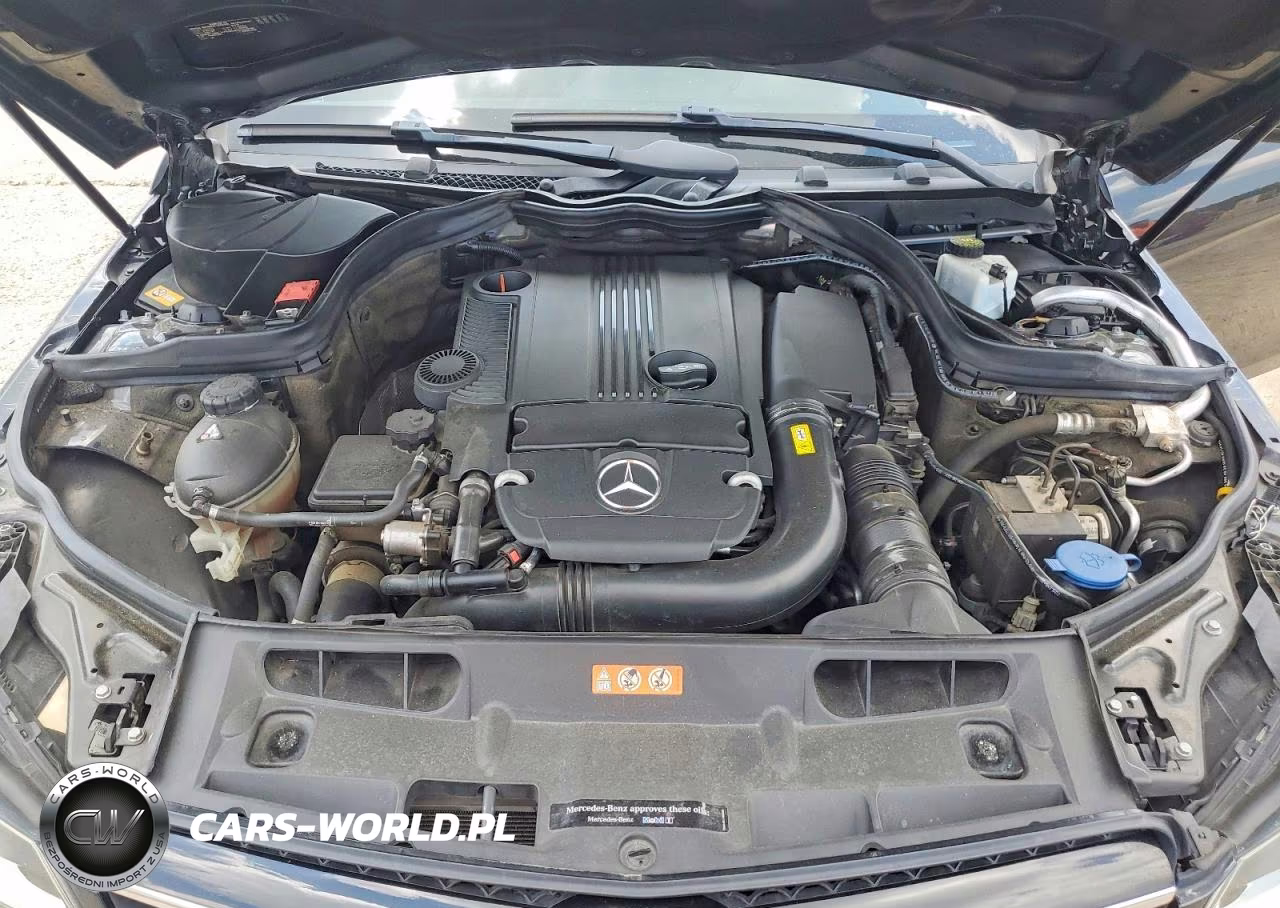 2015 Mercedes-Benz C 250 VIN:WDDGJ4HBXFG387171 - 11