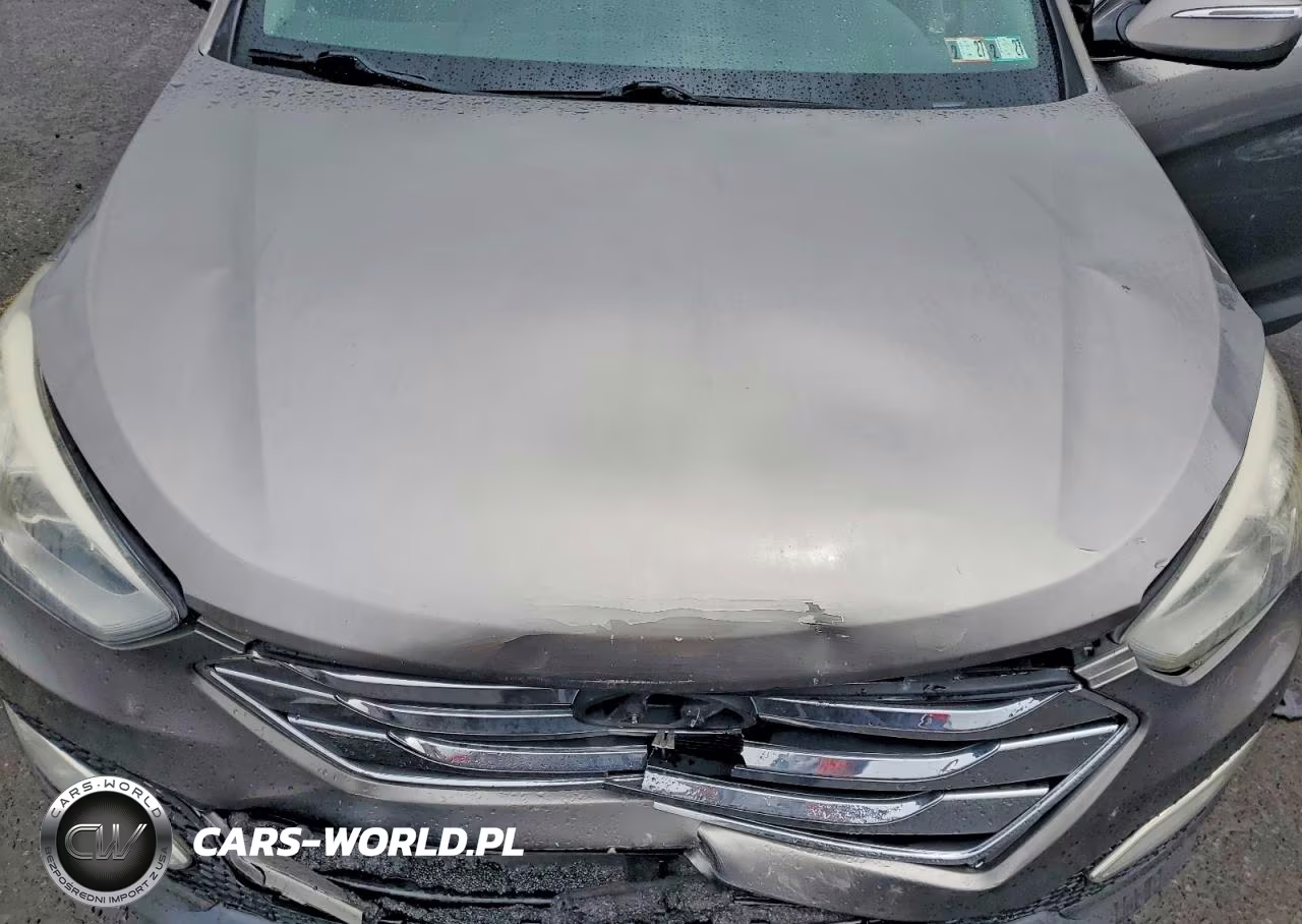 2014 Hyundai Santa Fe Sport 2.0T VIN:5XYZWDLA1EG135071 - 12