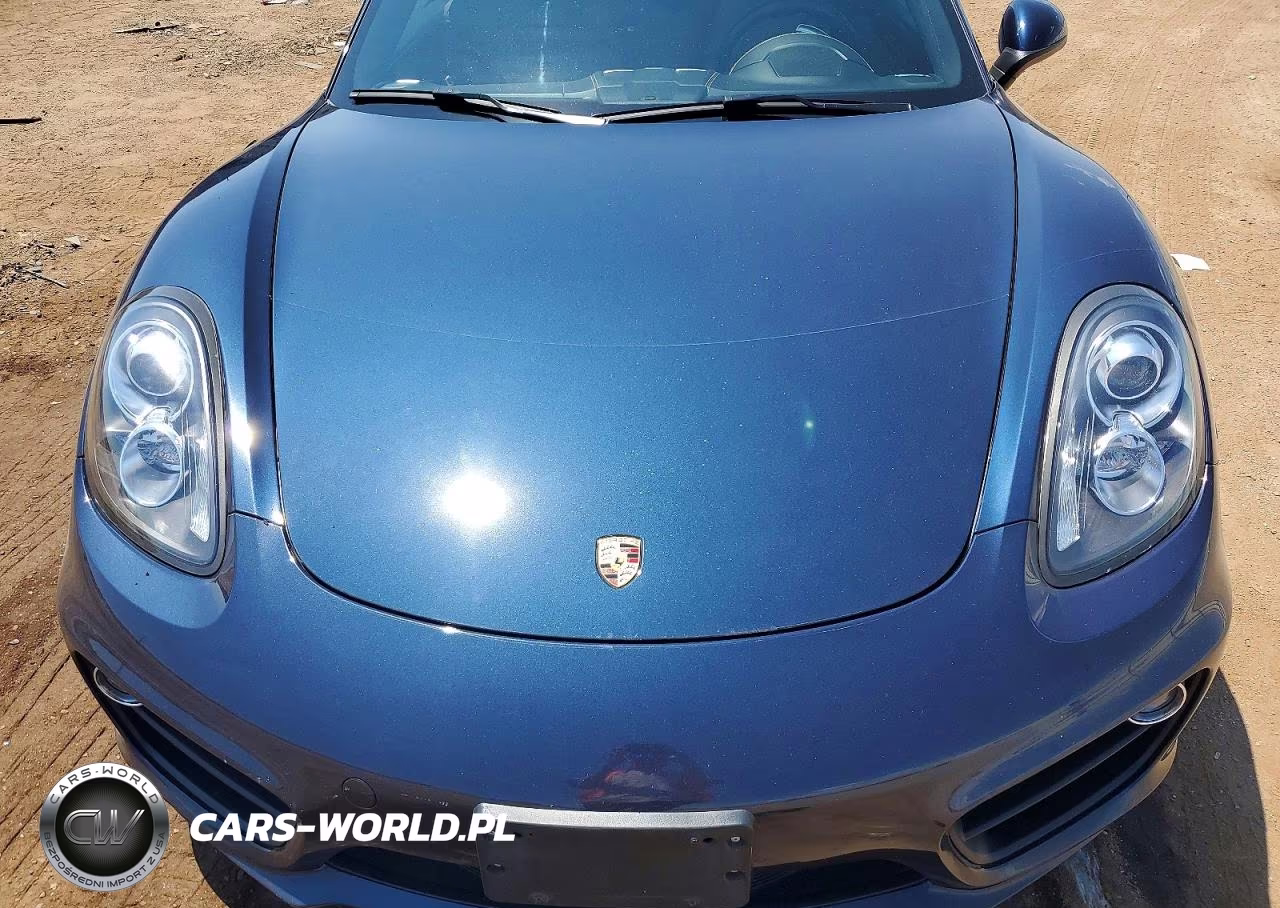 2015 Porsche Cayman S VIN:WP0AB2A83FK180201 - 11
