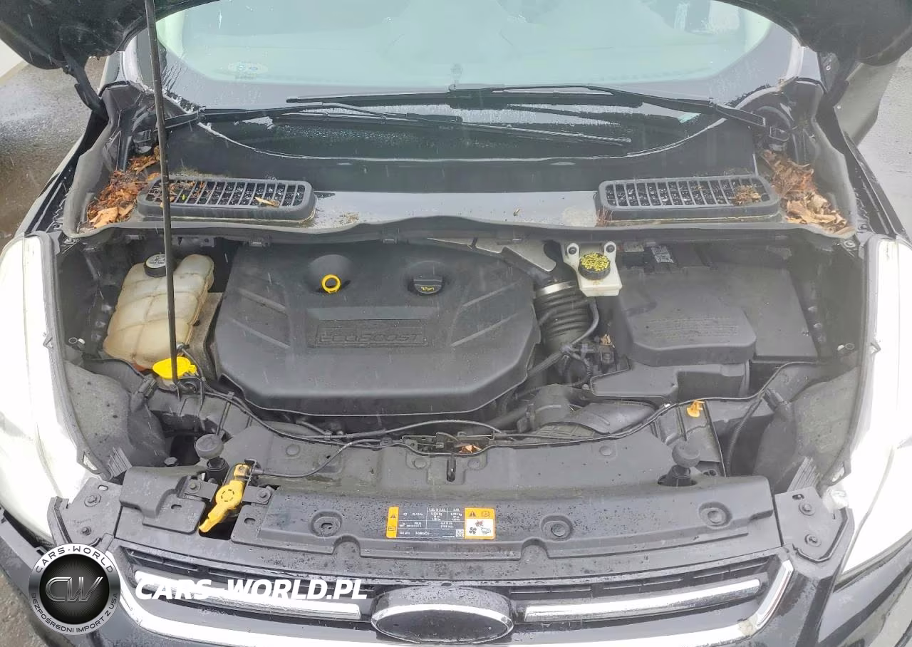 2013 Ford Escape Sel VIN:1FMCU9H93DUA09973 - 12