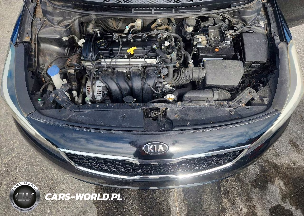 2017 Kia Forte Lx VIN:3KPFK4A75HE110973 - 11