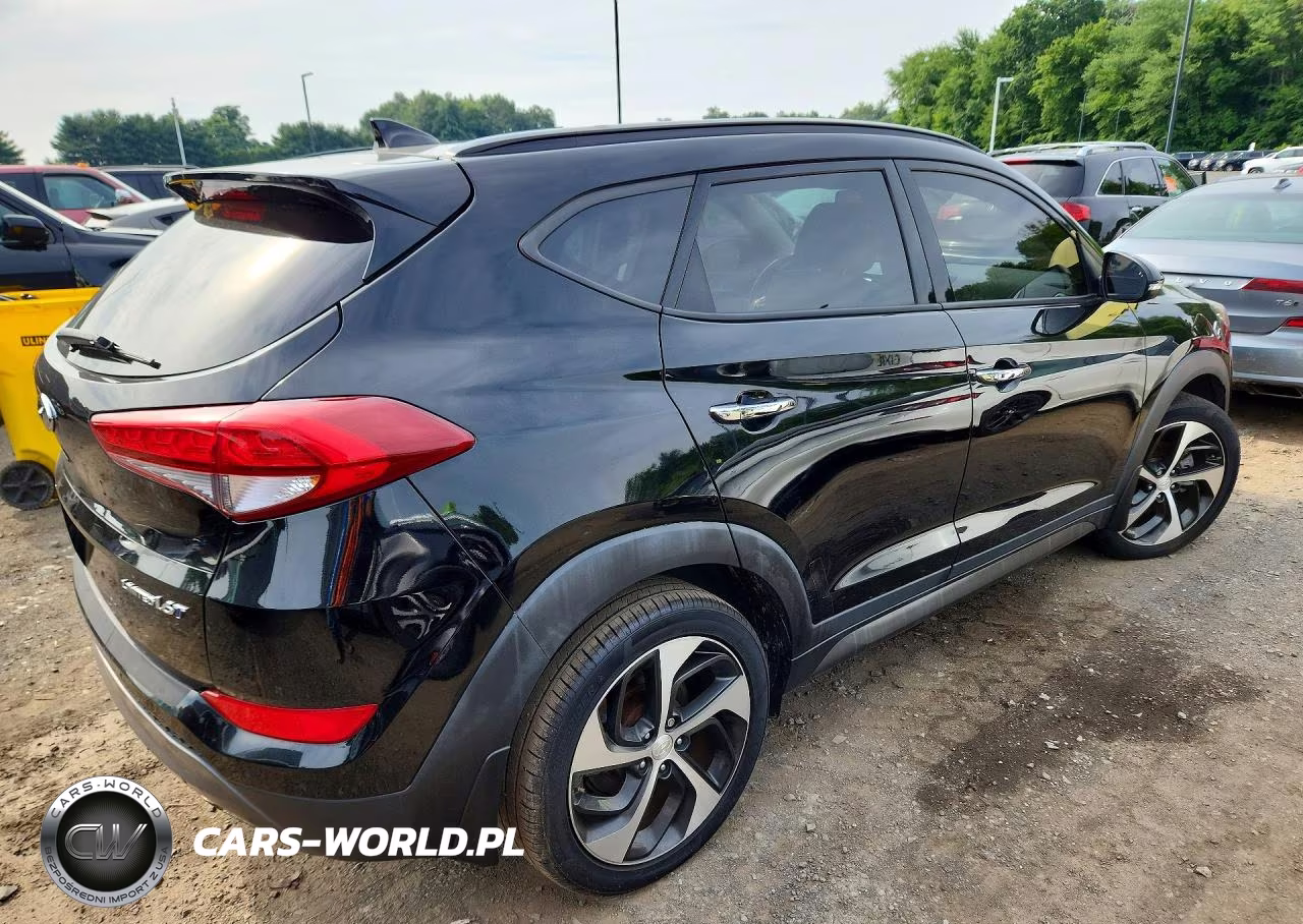 2016 Hyundai Tucson Limited VIN:KM8J33A23GU206022 - 3