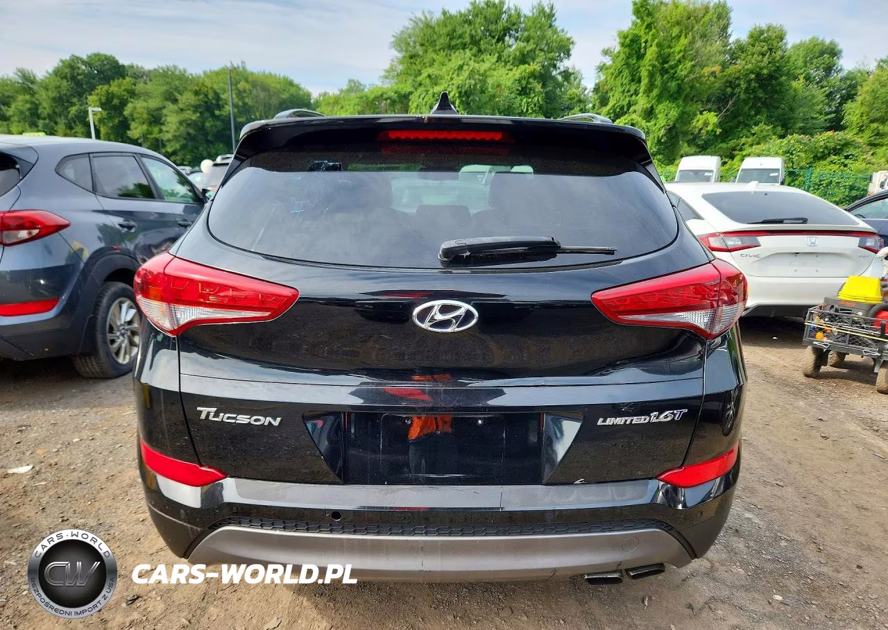 2016 Hyundai Tucson Limited VIN:KM8J33A23GU206022 - 6