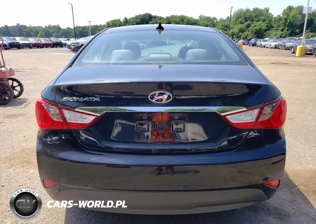2014 Hyundai Sonata Gls VIN:5NPEB4AC2EH845023 - 6