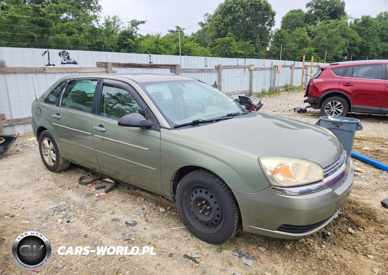 2004 Chevrolet Malibu Maxx Ls VIN:1G1ZT64894F195769 - 4