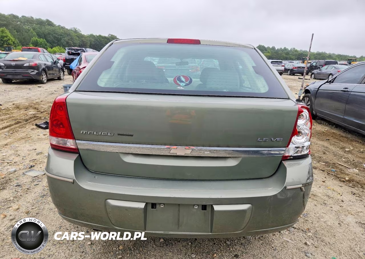 2004 Chevrolet Malibu Maxx Ls VIN:1G1ZT64894F195769 - 6