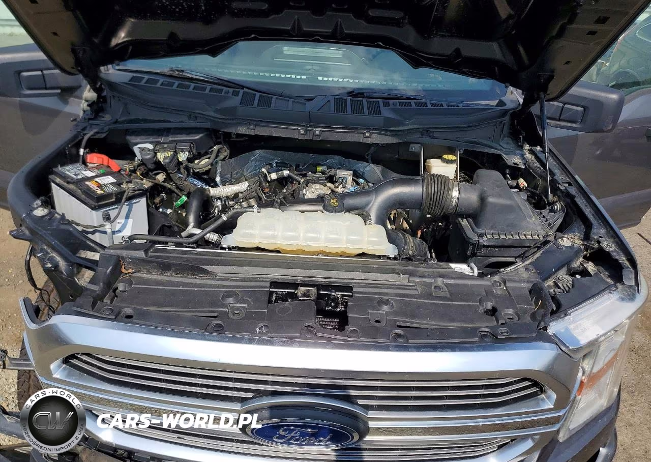 2021 Ford F150 Supercrew VIN:1FTEW1EP1MKD19661 - 11