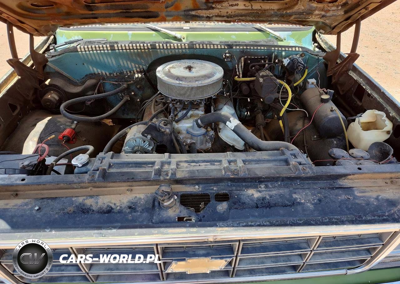 1977 Chevrolet Pickup VIN:CCL348J102096 - 11