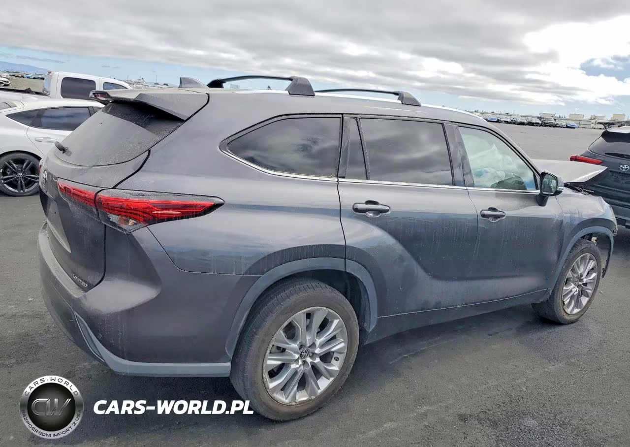 2020 Toyota Highlander Limited VIN:5TDYZRAH7LS024296 - 3