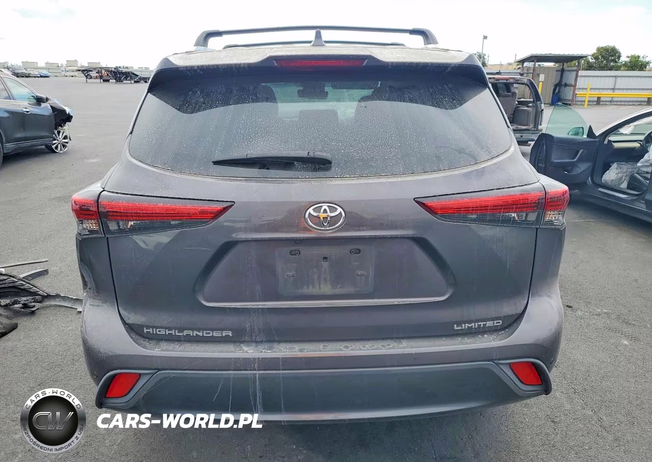 2020 Toyota Highlander Limited VIN:5TDYZRAH7LS024296 - 6