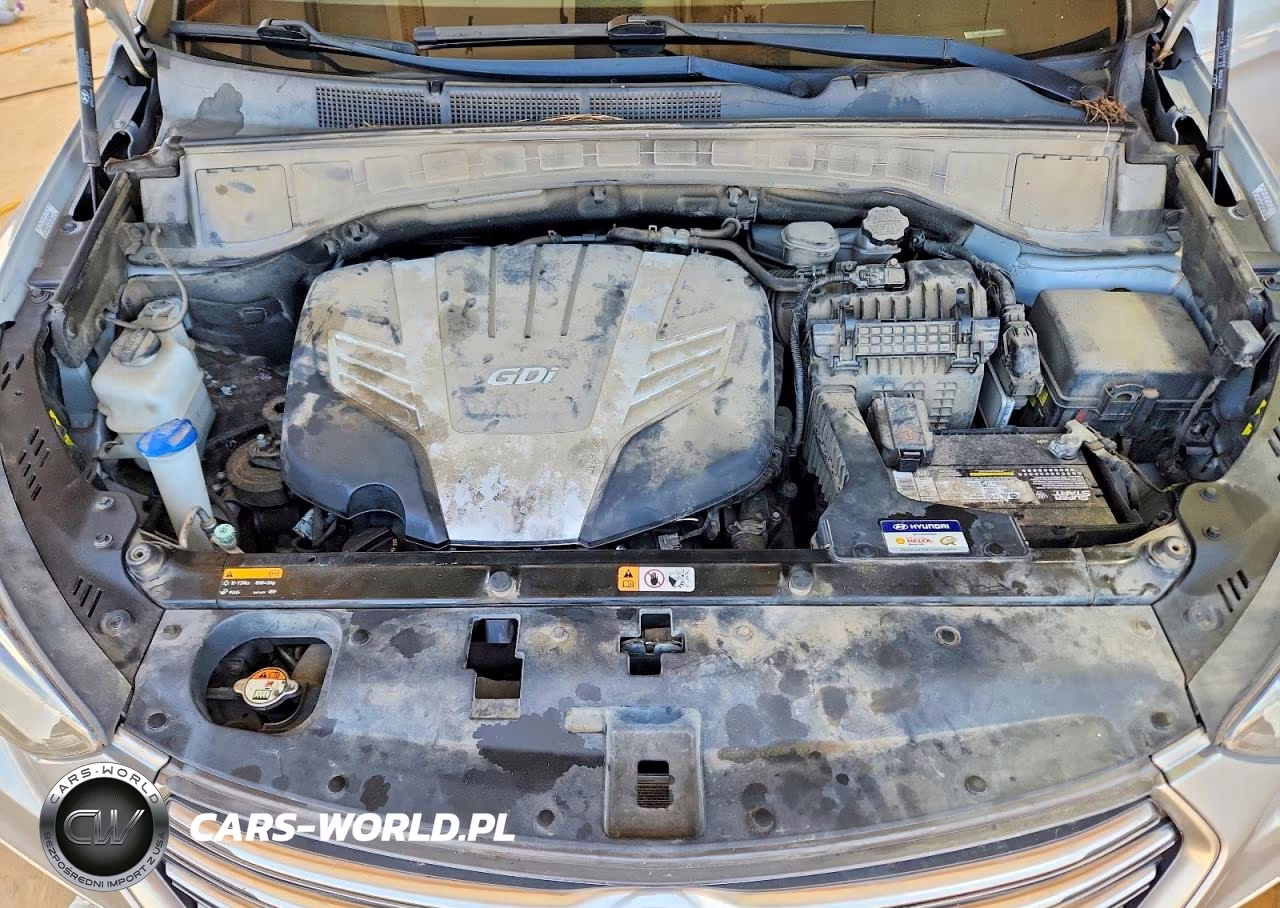 2019 Hyundai Santa Fe Xl Limited Ultimate VIN:KM8SRDHF8KU300603 - 12