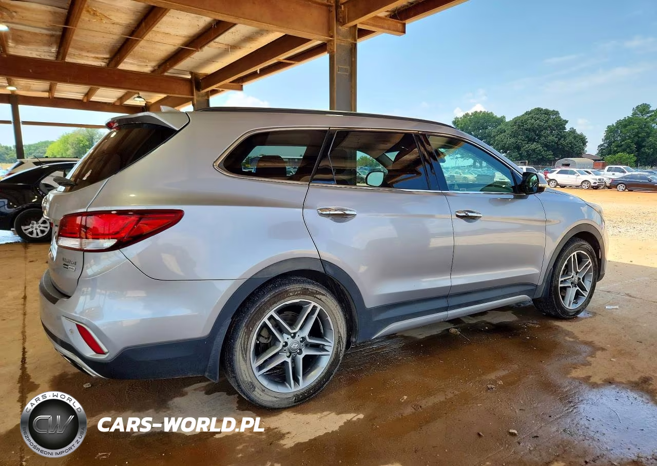 2019 Hyundai Santa Fe Xl Limited Ultimate VIN:KM8SRDHF8KU300603 - 3