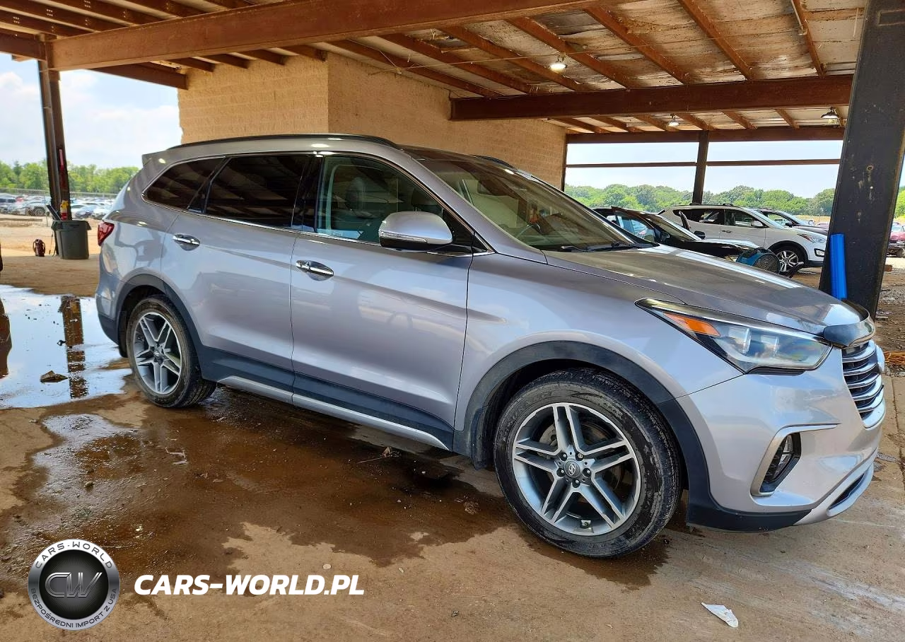 2019 Hyundai Santa Fe Xl Limited Ultimate VIN:KM8SRDHF8KU300603 - 4