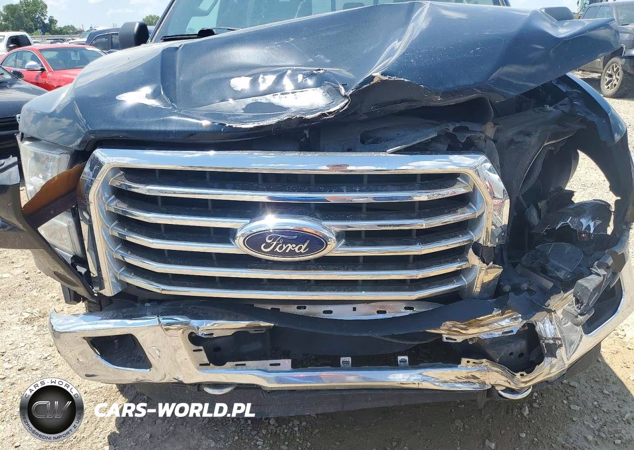 2016 Ford F150 Supercrew VIN:1FTEW1EF0GFA12924 - 11