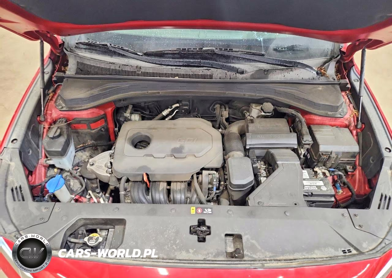 2019 Hyundai Santa Fe Se VIN:5NMS2CAD4KH117508 - 12