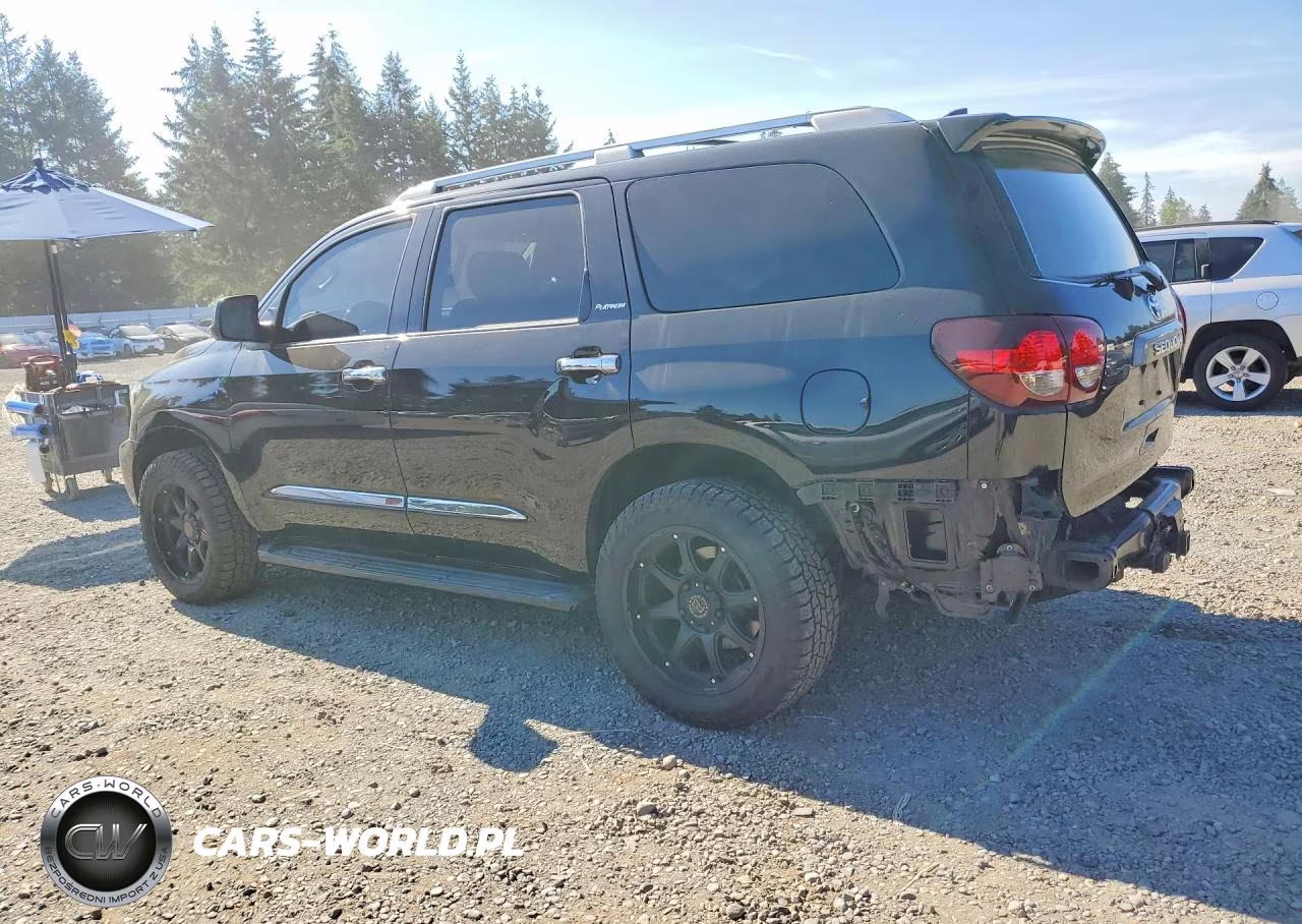 2020 Toyota Sequoia Platinum VIN:5TDDY5G10LS180197 - 2