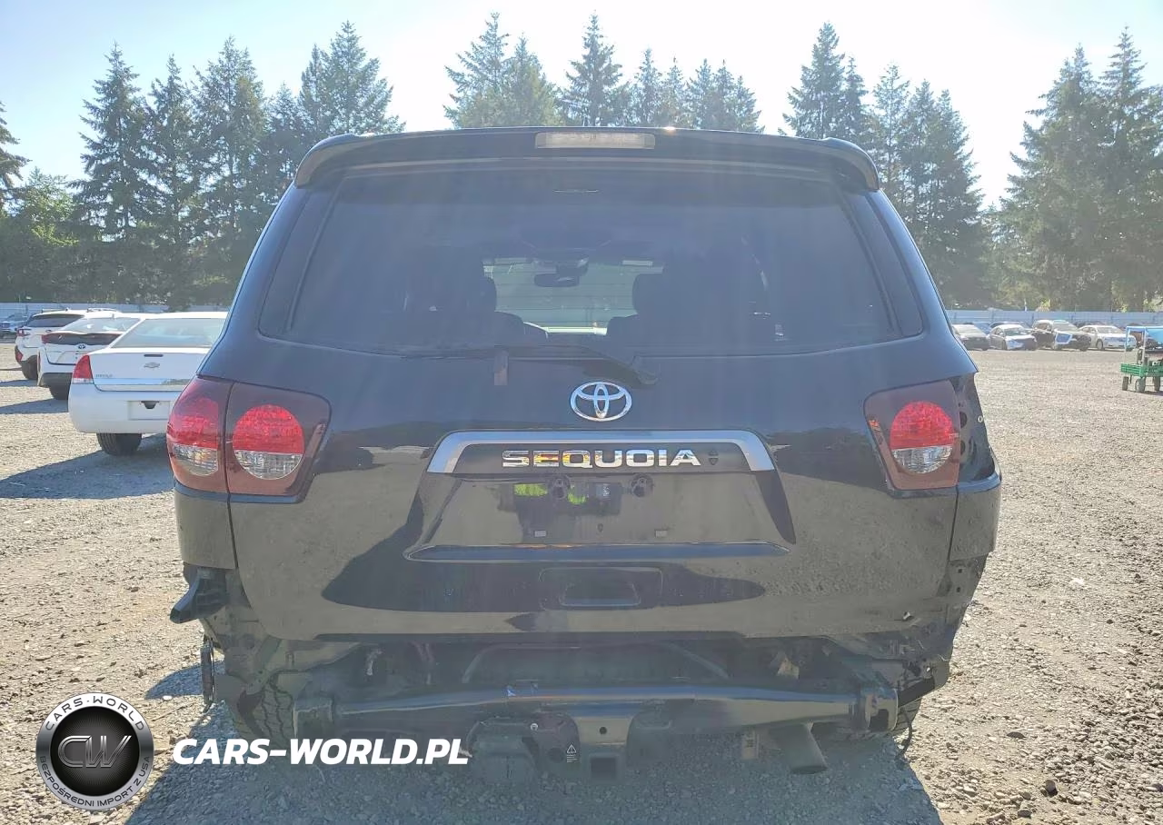 2020 Toyota Sequoia Platinum VIN:5TDDY5G10LS180197 - 6