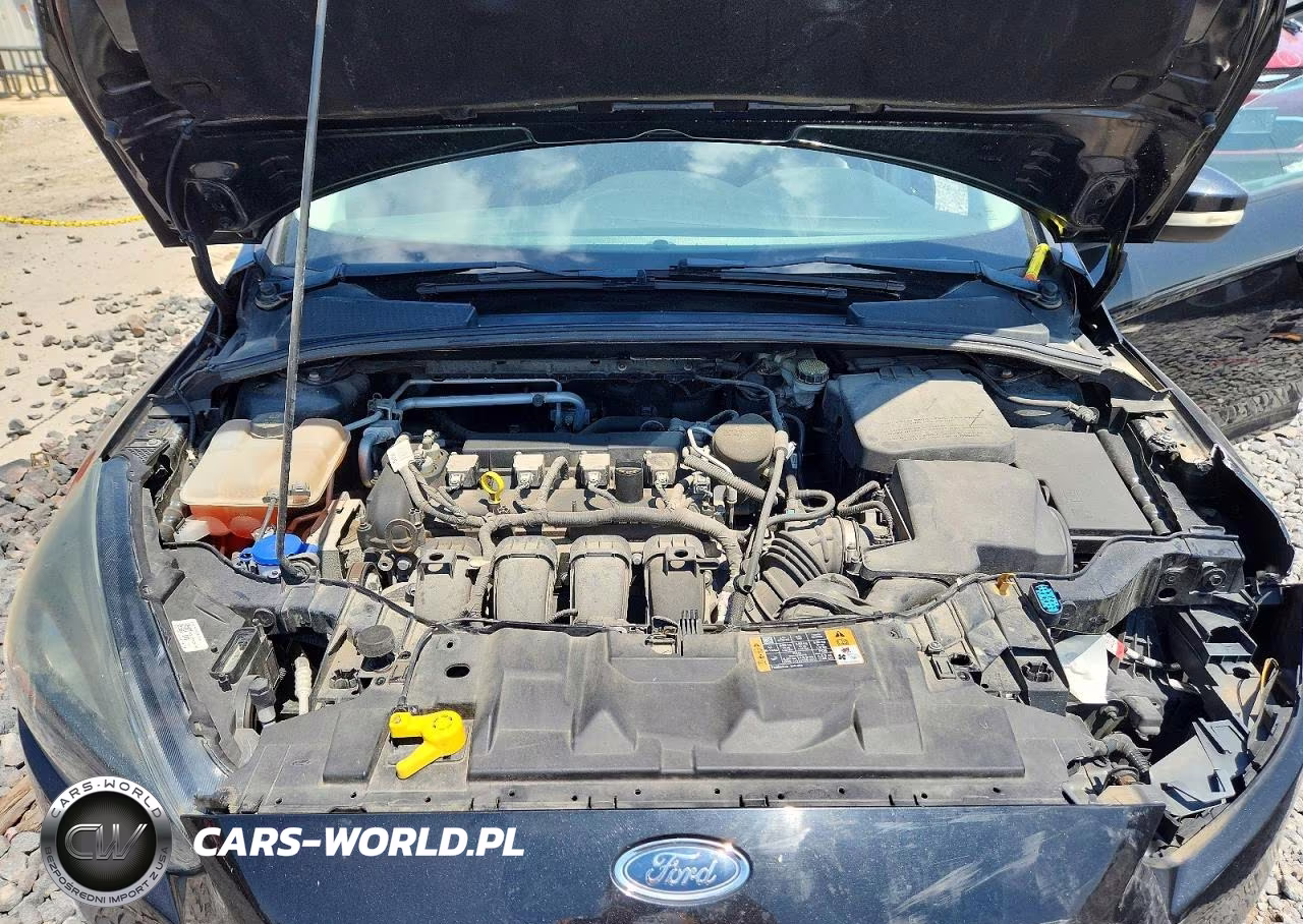 2015 Ford Focus Se VIN:1FADP3K27FL238986 - 11