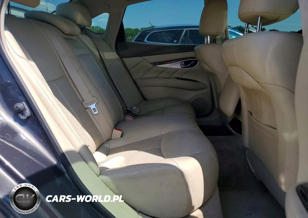 2015 Infiniti Q70 3.7 VIN:JN1BY1AR4FM562038 - 10