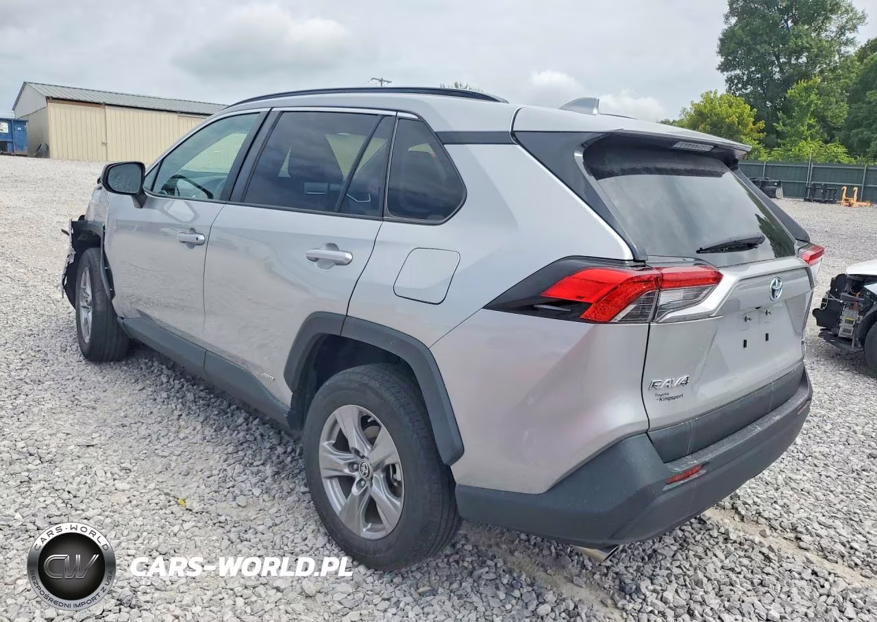 2024 Toyota Rav4 Le VIN:4T3LWRFV9RU129799 - 2