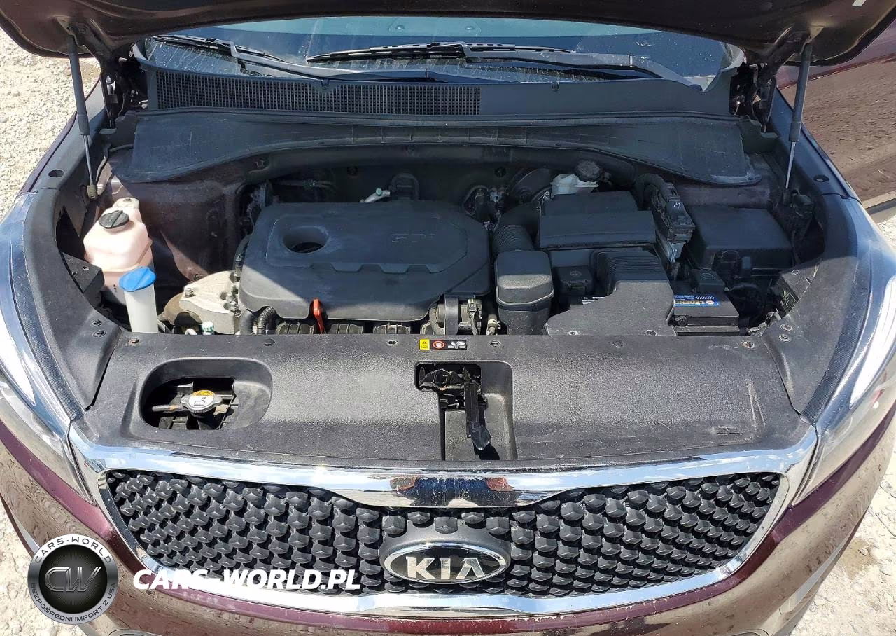 2017 Kia Sorento Lx VIN:5XYPG4A32HG196264 - 12