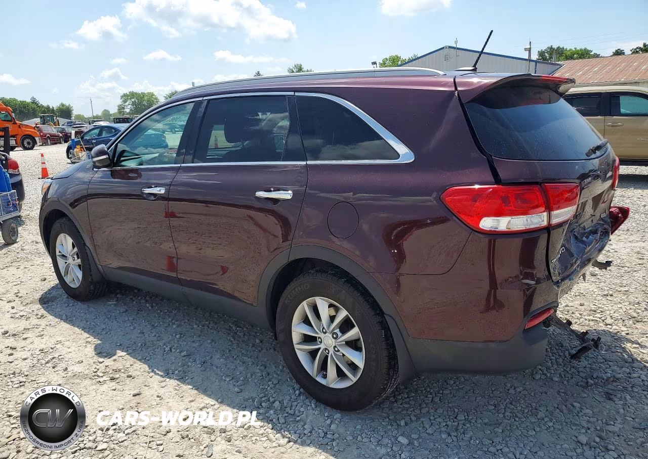 2017 Kia Sorento Lx VIN:5XYPG4A32HG196264 - 2