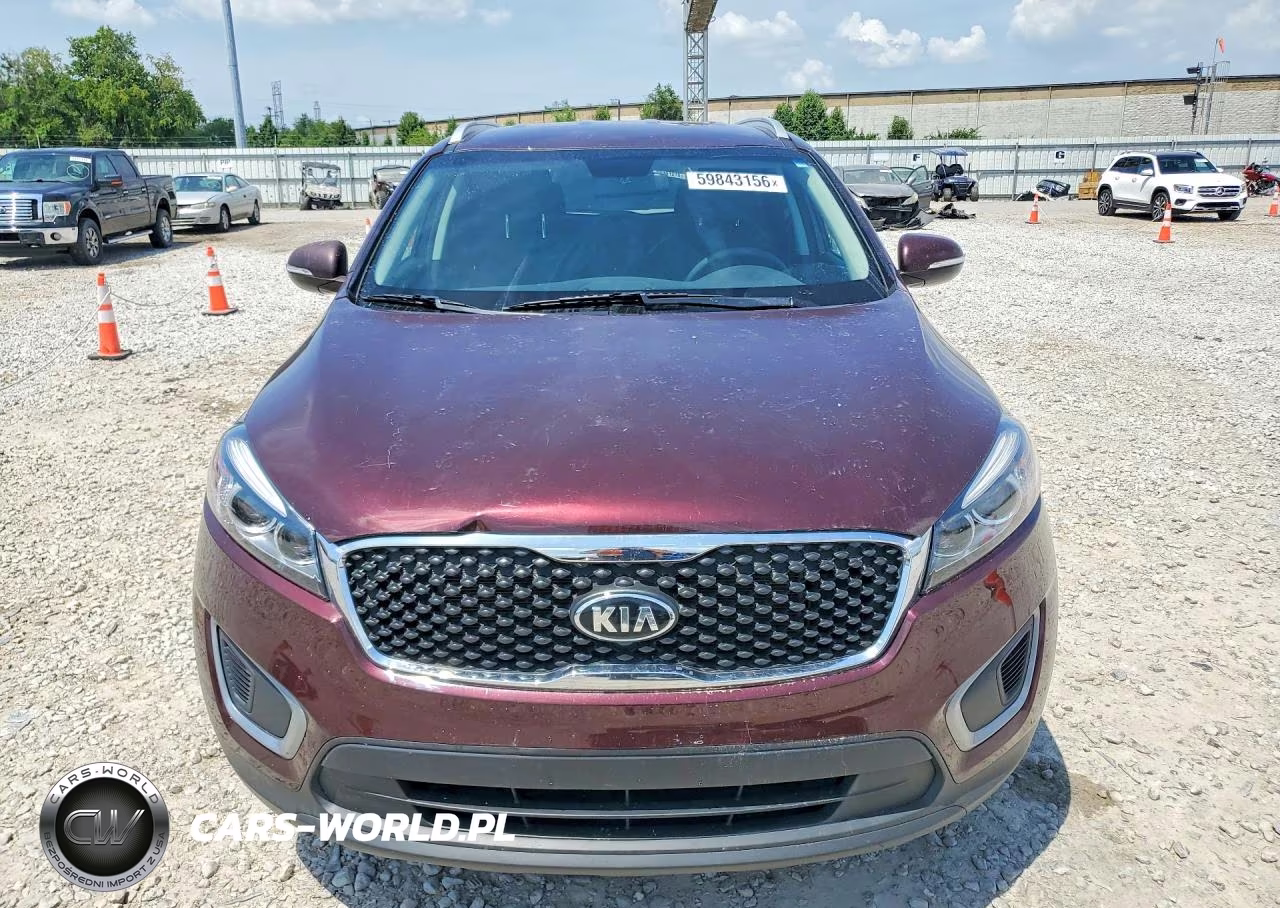 2017 Kia Sorento Lx VIN:5XYPG4A32HG196264 - 5