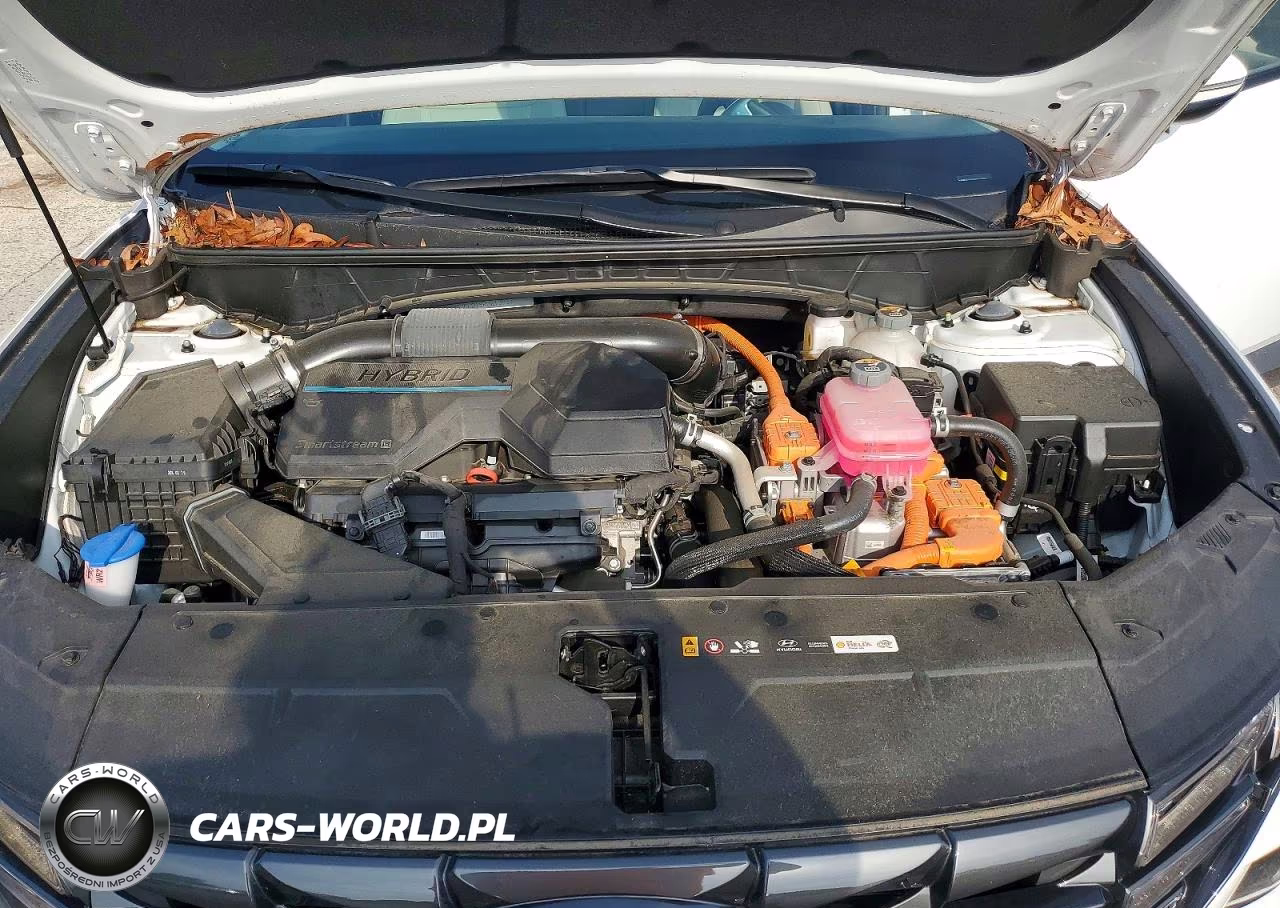 2024 Hyundai Tucson Sel Convenience VIN:KM8JCCD15RU213933 - 11