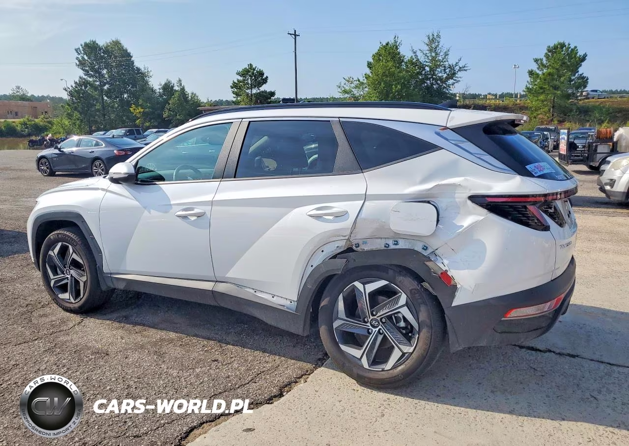 2024 Hyundai Tucson Sel Convenience VIN:KM8JCCD15RU213933 - 2