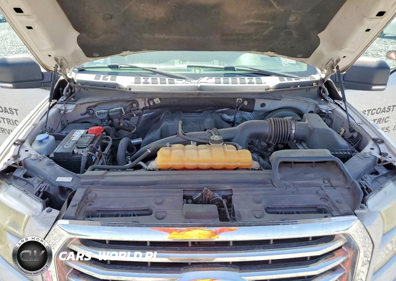 2016 Ford F150 Supercrew VIN:1FTEW1CP5GKE53502 - 11