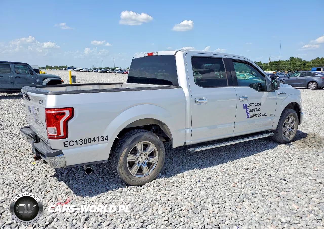 2016 Ford F150 Supercrew VIN:1FTEW1CP5GKE53502 - 3