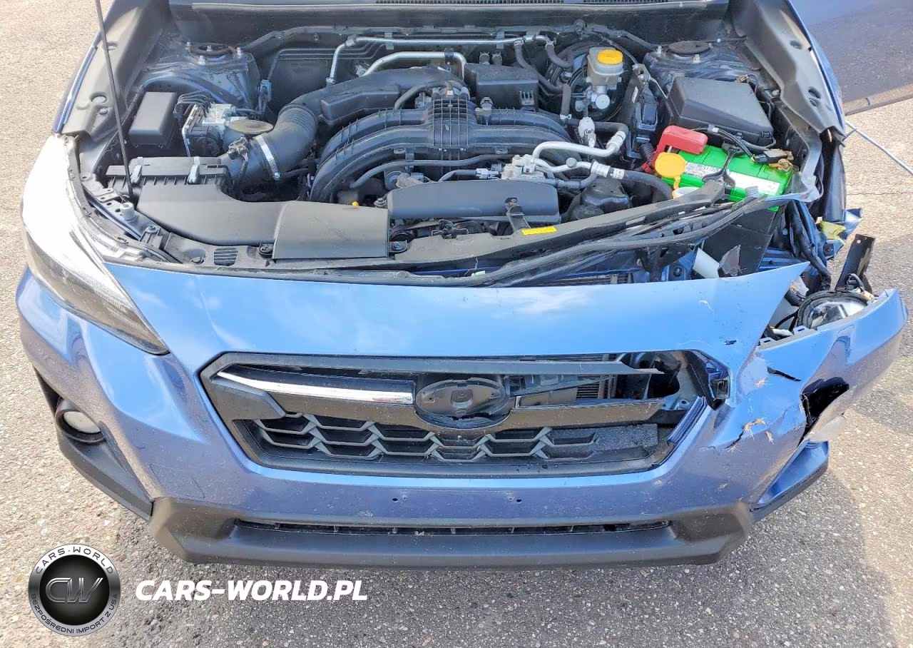 2019 Subaru Crosstrek Limited VIN:JF2GTAMC0K8225539 - 12