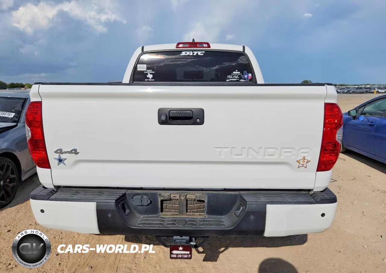 2020 Toyota Tundra 1794 Edition VIN:5TFAY5F17LX907317 - 6