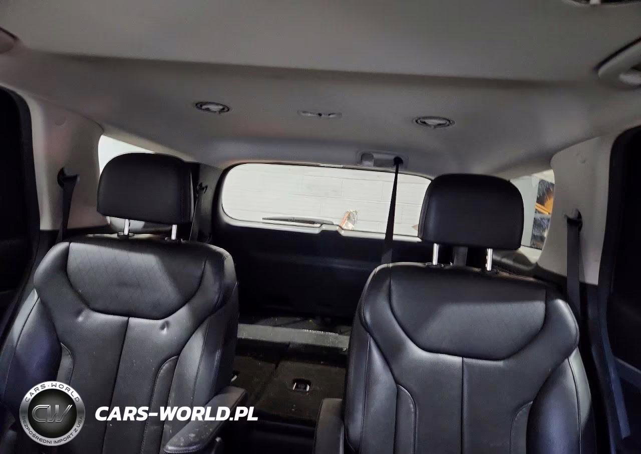 2020 Hyundai Palisade Sel VIN:KM8R4DHEXLU161208 - 10