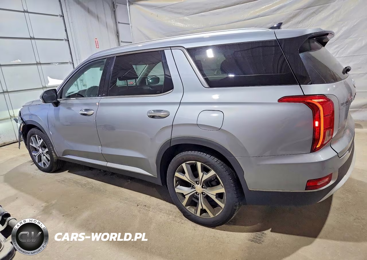 2020 Hyundai Palisade Sel VIN:KM8R4DHEXLU161208 - 2