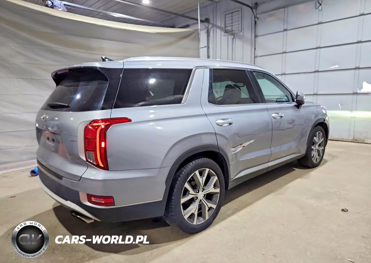 2020 Hyundai Palisade Sel VIN:KM8R4DHEXLU161208 - 3