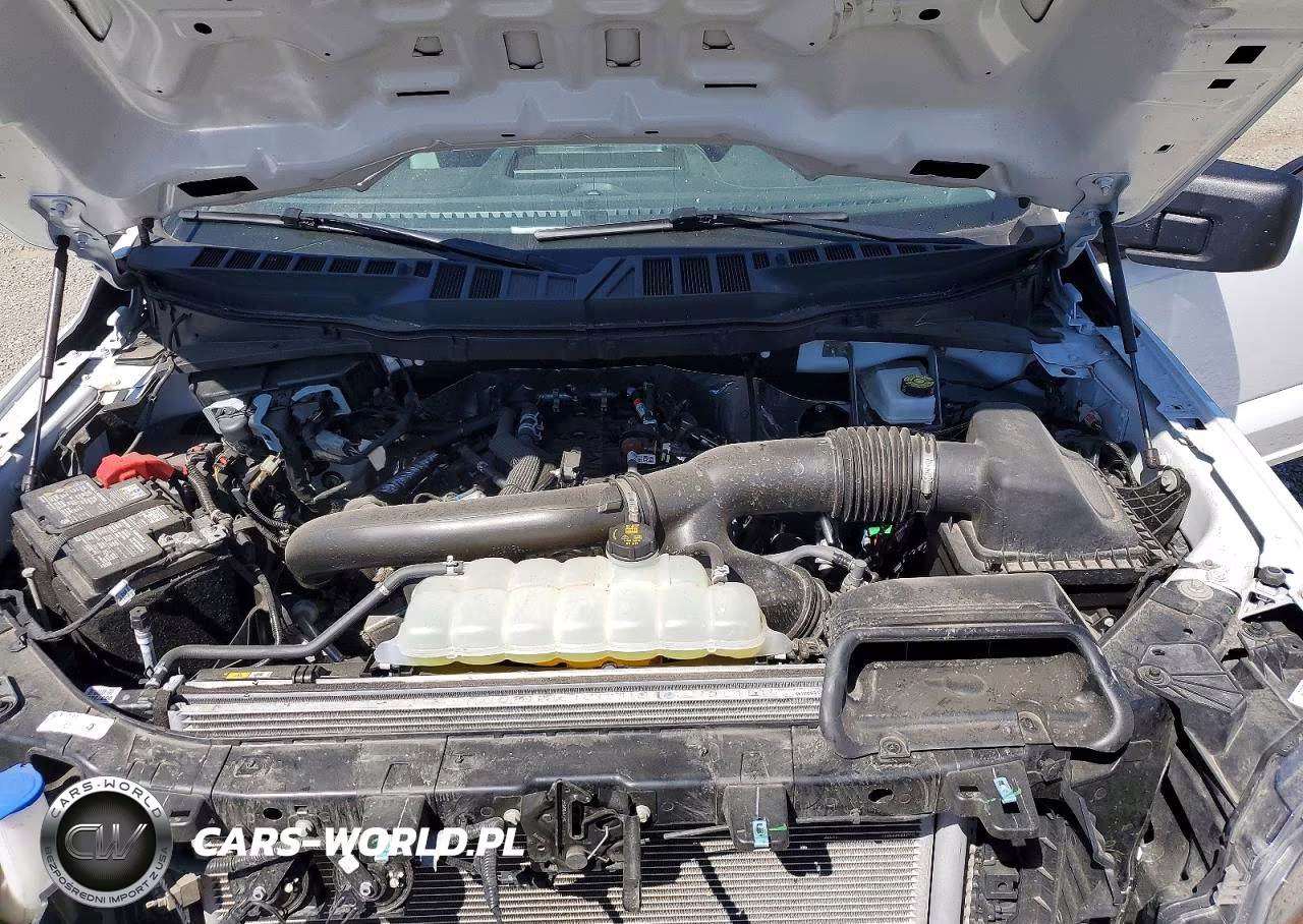 2025 Ford F150 Xl VIN:1FTFX1L89SKD92593 - 11