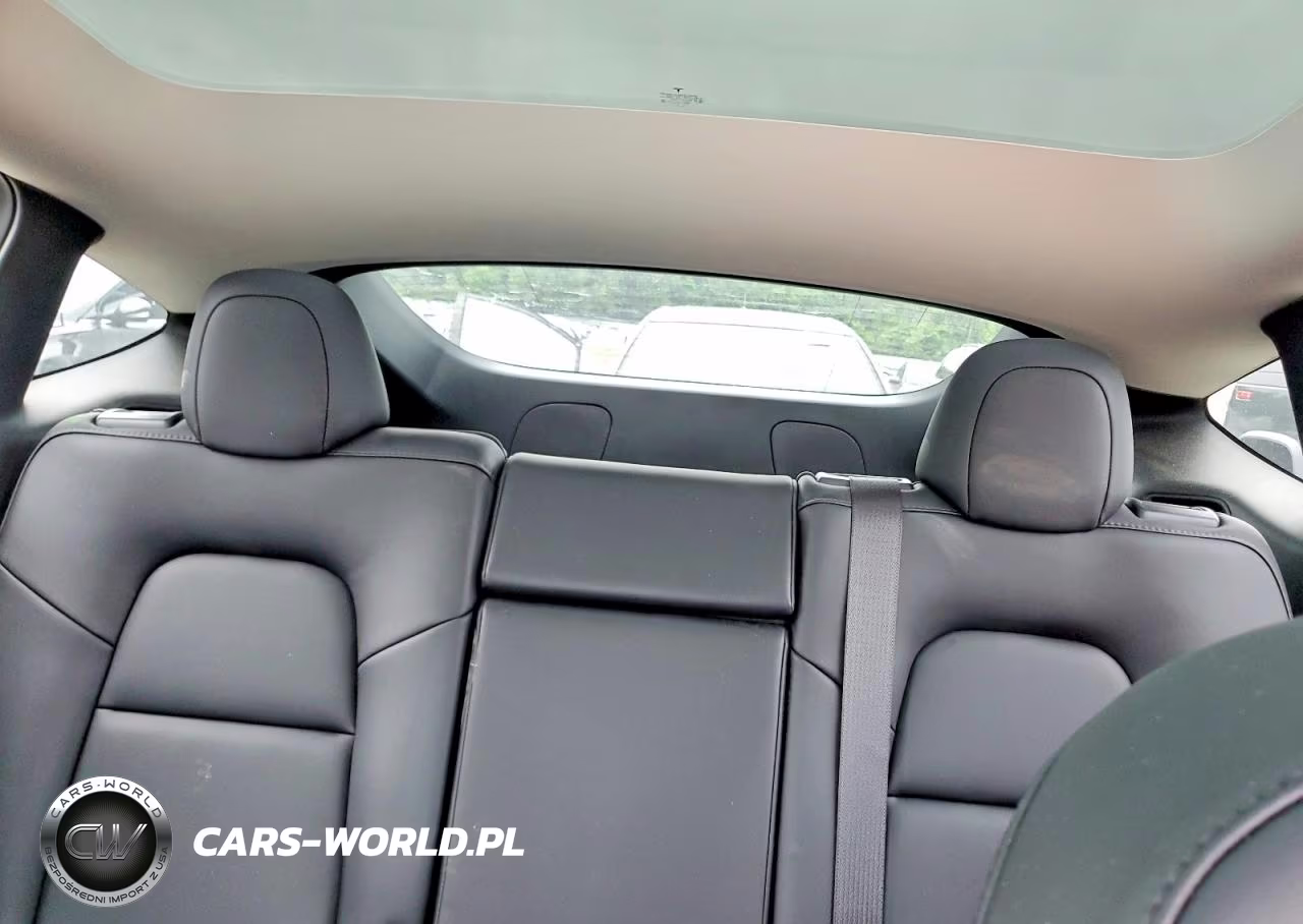 2023 Tesla Model Y VIN:7SAYGDEF3PF866079 - 10