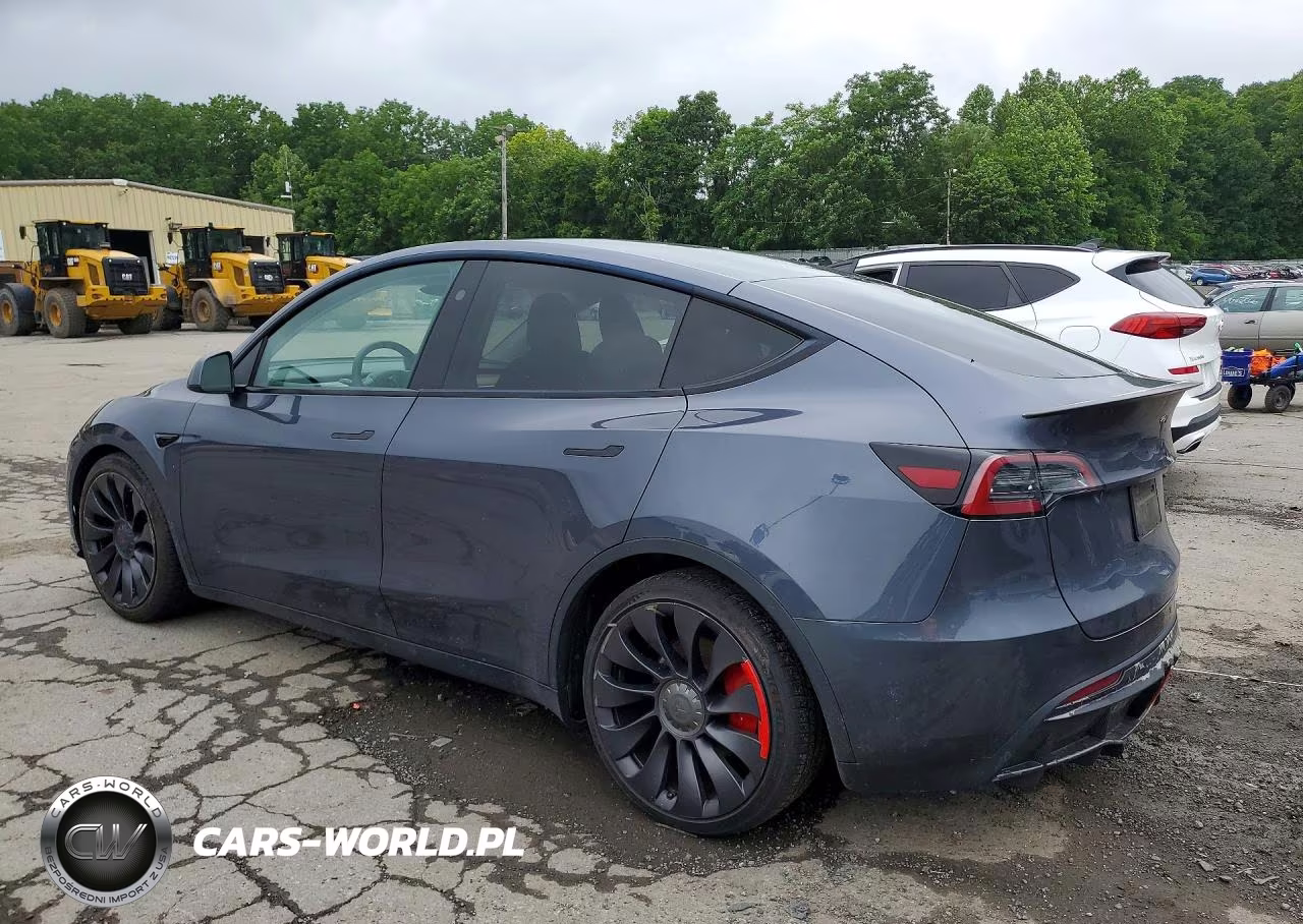 2023 Tesla Model Y VIN:7SAYGDEF3PF866079 - 2