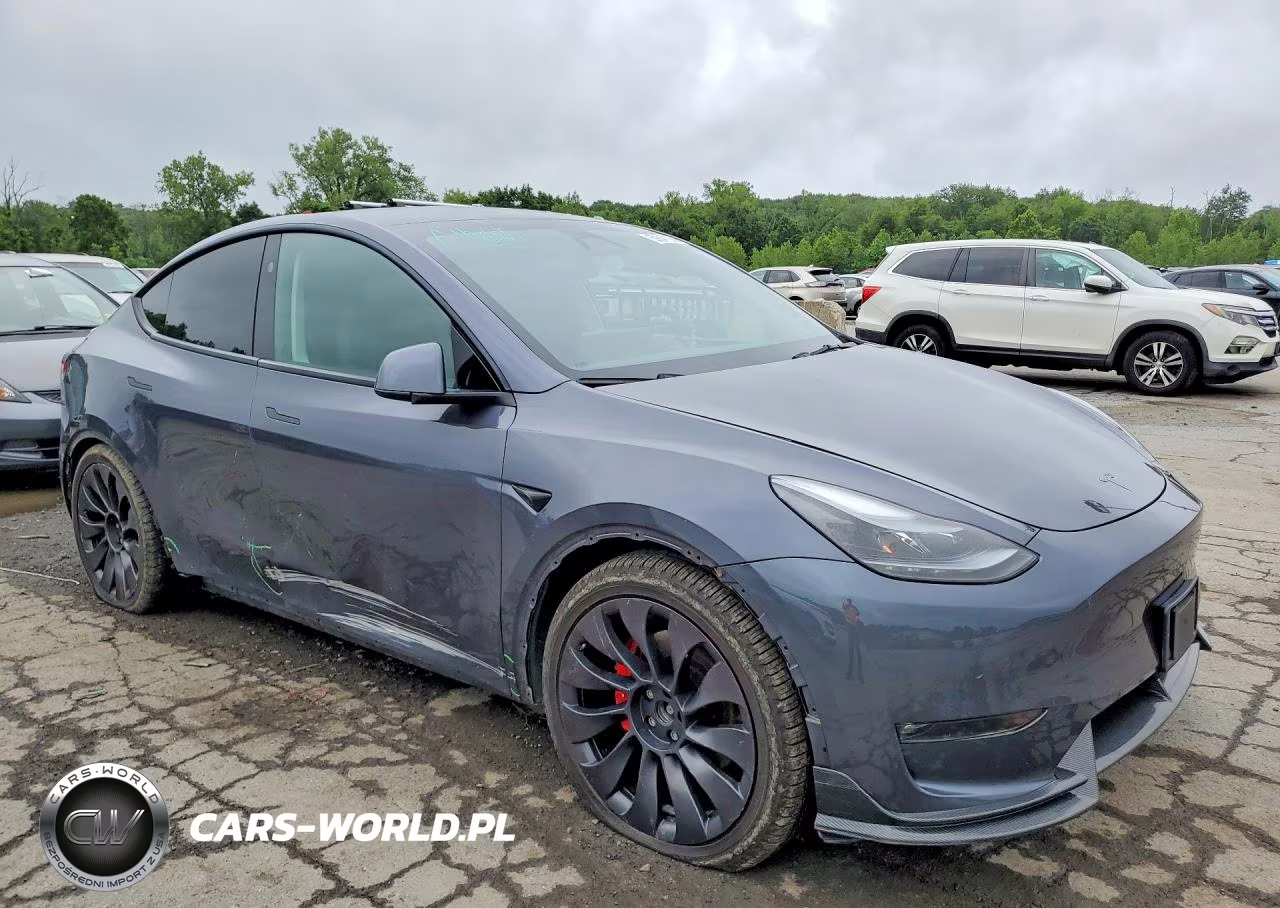2023 Tesla Model Y VIN:7SAYGDEF3PF866079 - 4