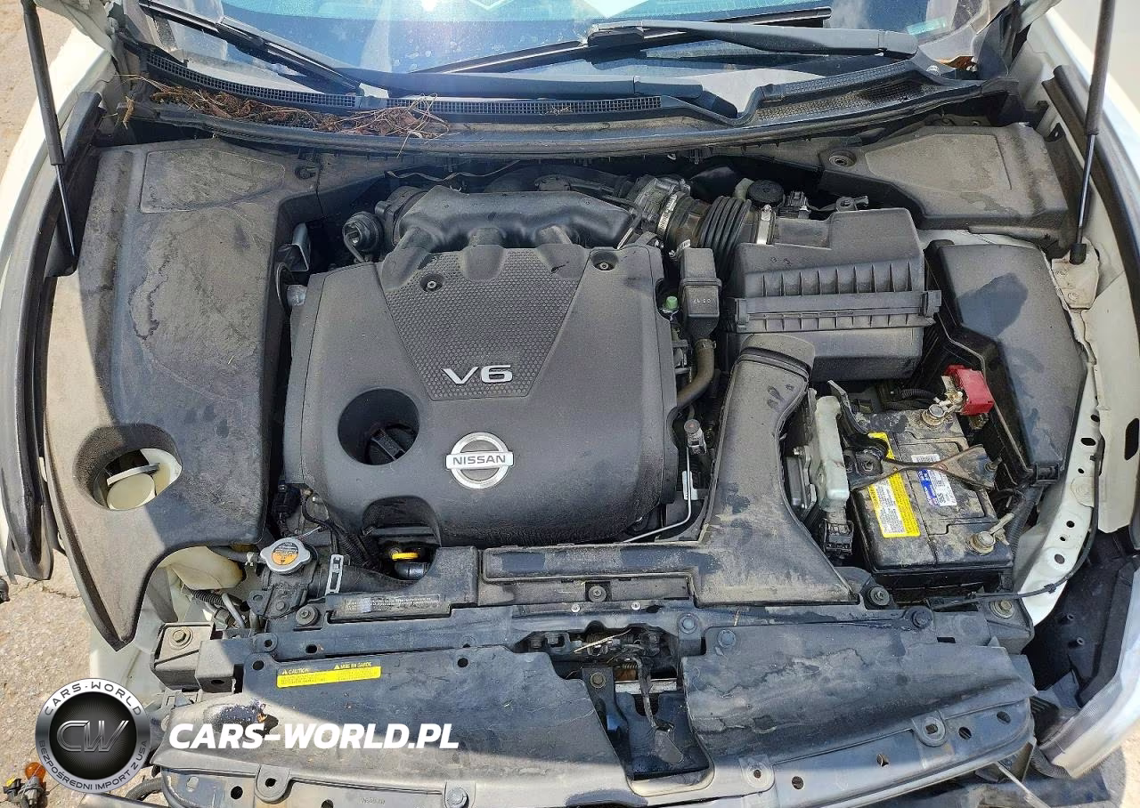 2010 Nissan Maxima 3.5 S VIN:1N4AA5AP4AC855803 - 11