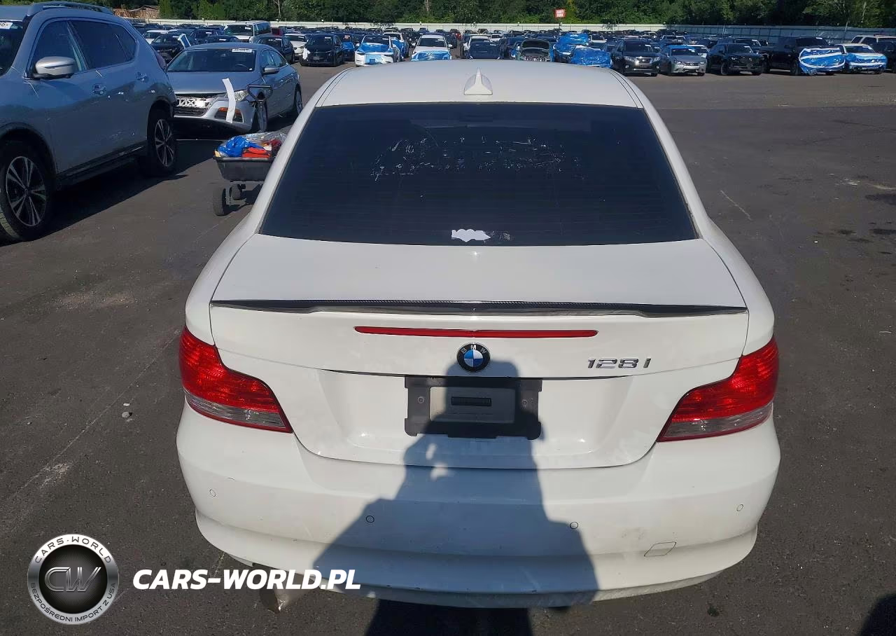 2010 BMW 128 VIN:WBAUP9C54AVL89283 - 6