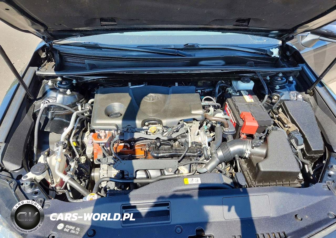 2019 Toyota Camry Se VIN:4T1B11HK5KU202325 - 11