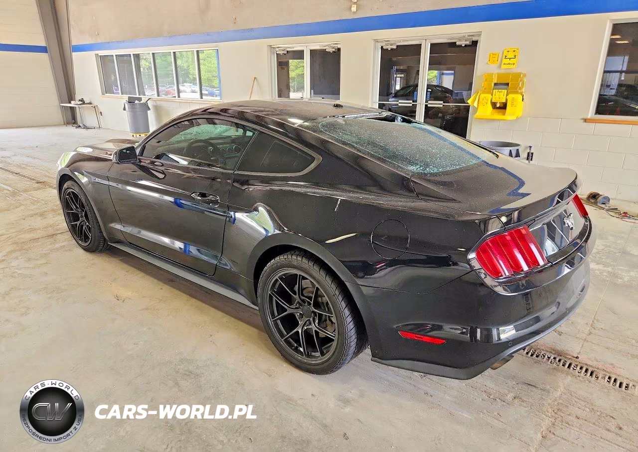 2017 Ford Mustang VIN:1FA6P8TH6H5249770 - 2