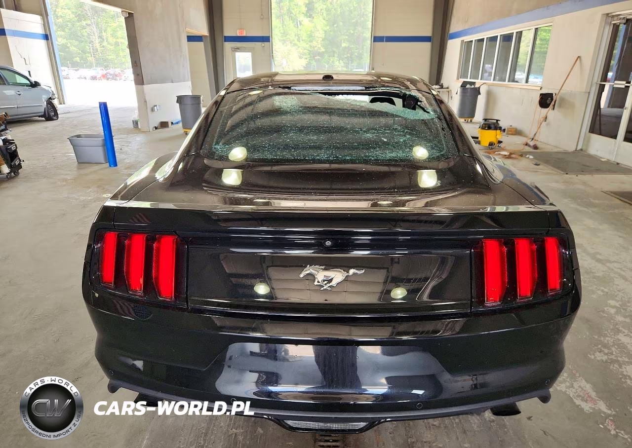 2017 Ford Mustang VIN:1FA6P8TH6H5249770 - 6
