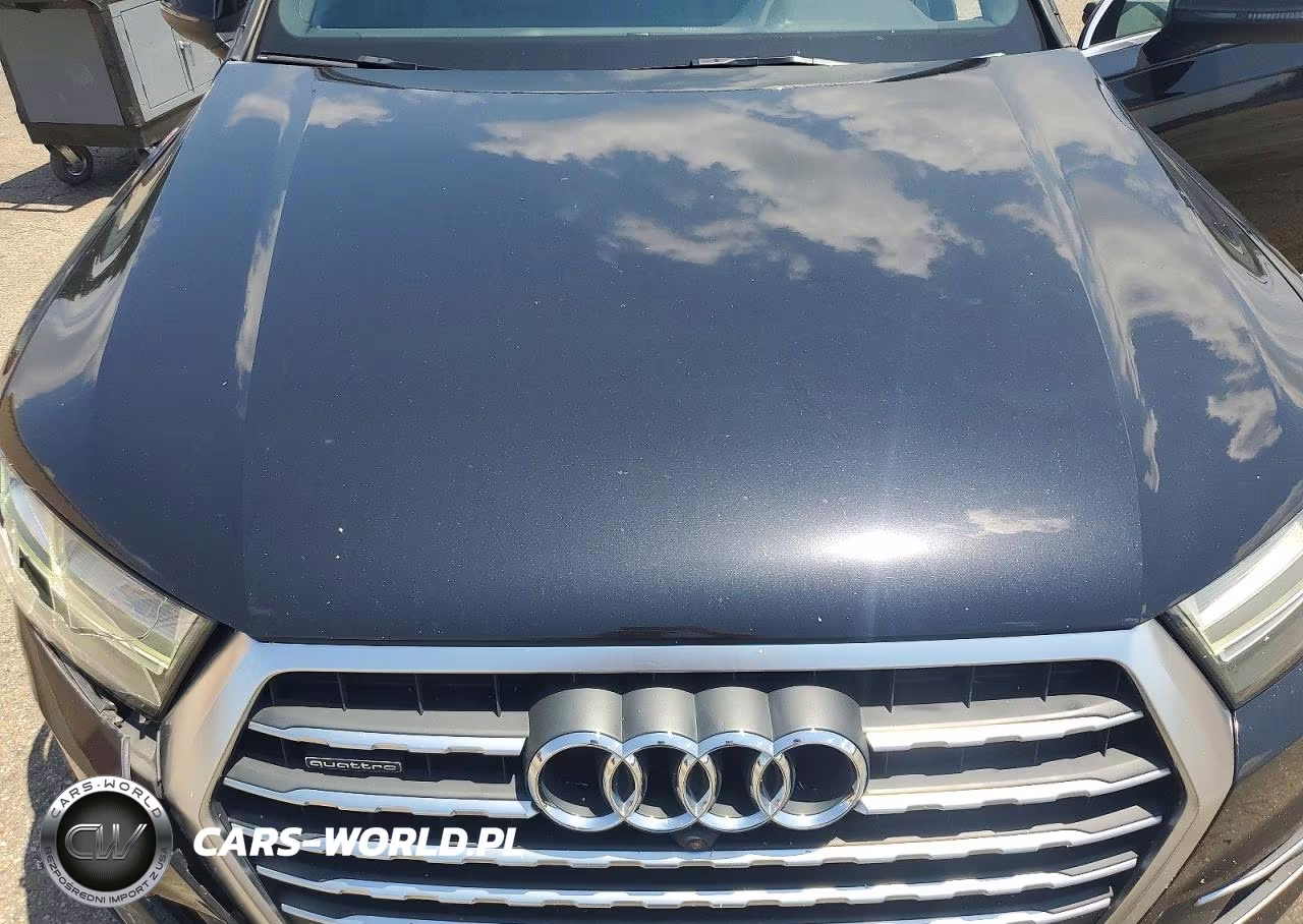 2017 Audi Q7 Premium Plus VIN:WA1LAAF70HD034703 - 12