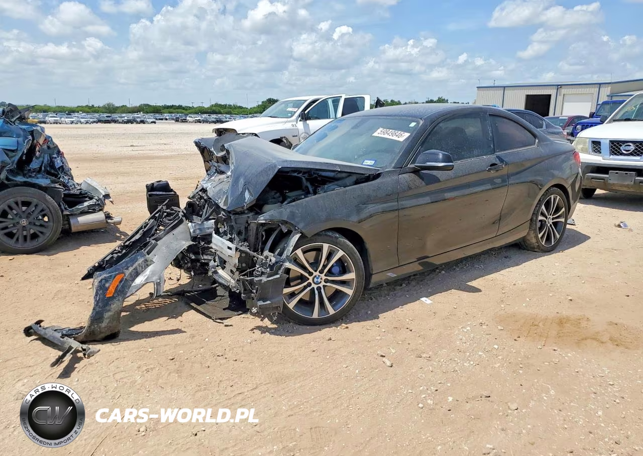 2016 BMW 228 I Sulev VIN:WBA1F9C58GV545873 - 1
